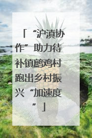 “沪滇协作”助力待补镇鹧鸡村跑出乡村振兴“加速度”